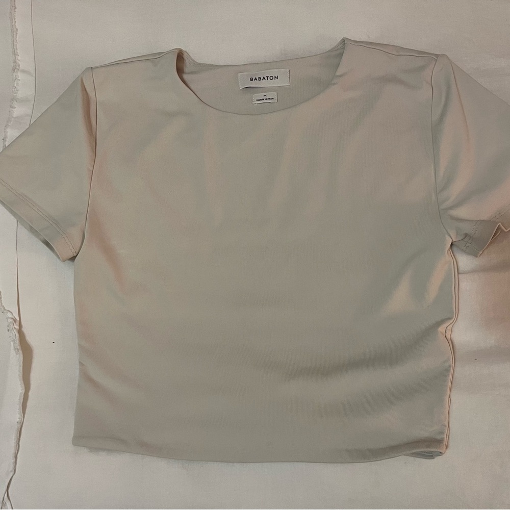 Aritzia Babaton cropped tee